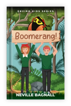 Boomerang